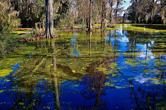 Magnolia Plantation and Gardens, Charleston, SC