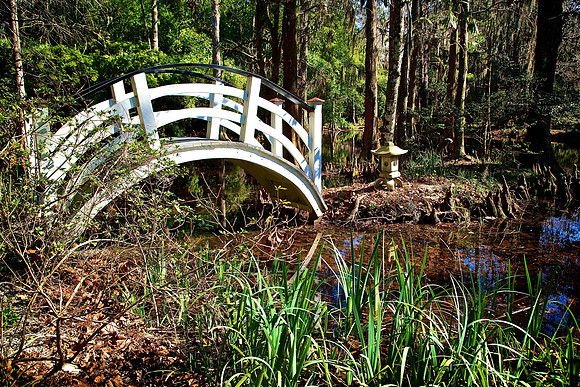 Magnolia Plantation and Gardens, Charleston, SC