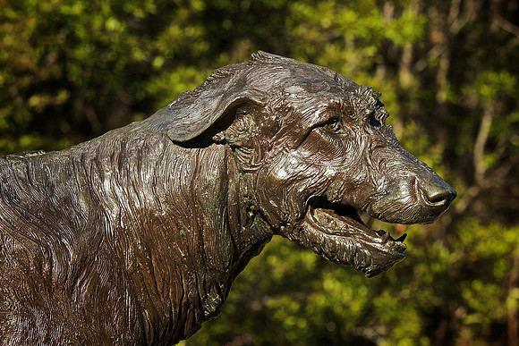 Brookgreen Gardens, SC