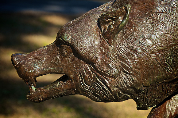Brookgreen Gardens, SC