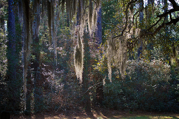 Brookgreen Gardens, SC