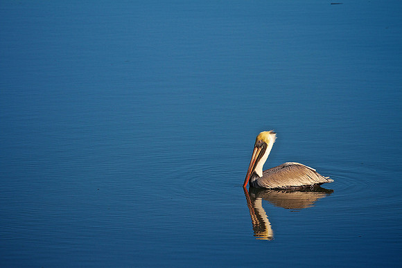 Murrells Inlet, SC