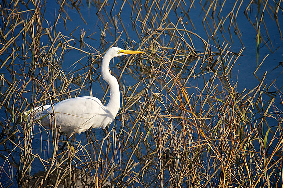 Murrells Inlet, SC