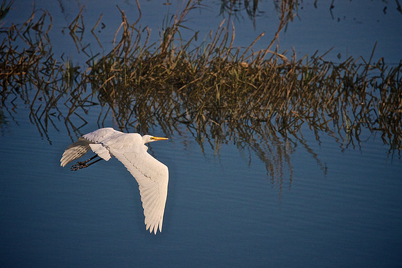 Murrells Inlet, SC