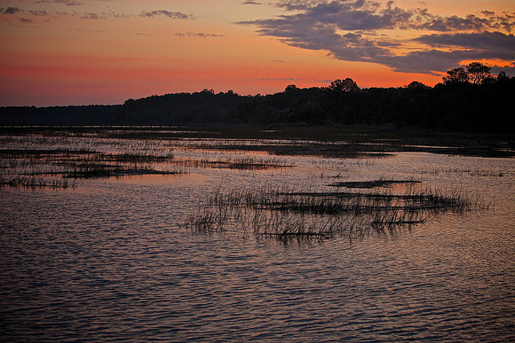 Huntington Beach State Park, SC (sunrise)