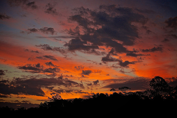 Huntington Beach State Park, SC (sunrise)