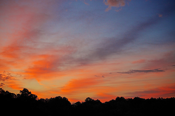 Huntington Beach State Park, SC (sunrise)