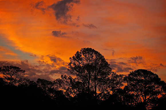 Huntington Beach State Park, SC (sunrise)