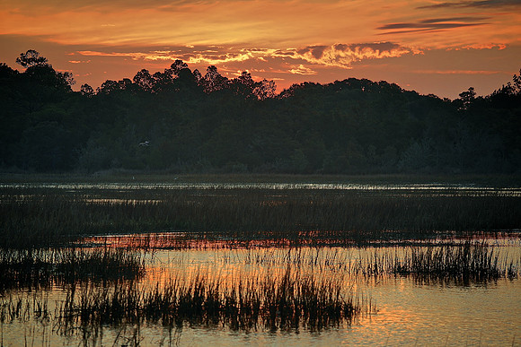 Huntington Beach State Park, SC (sunrise)