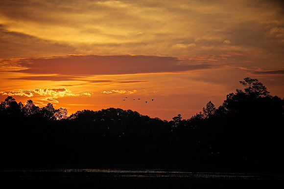 Huntington Beach State Park, SC (sunrise)