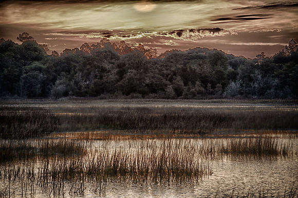 Huntington Beach State Park, SC (sunrise)