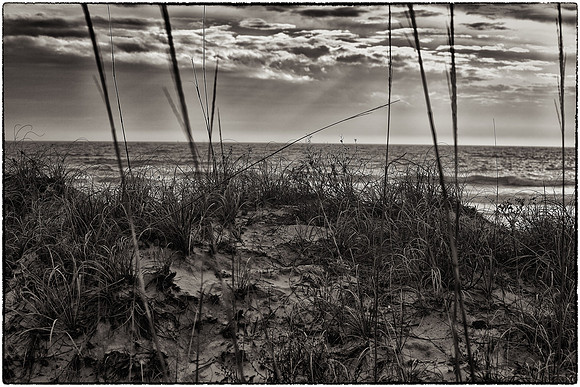 Huntington Beach State Park, SC (sunrise)