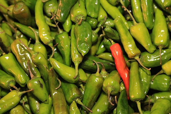 Farmer's market