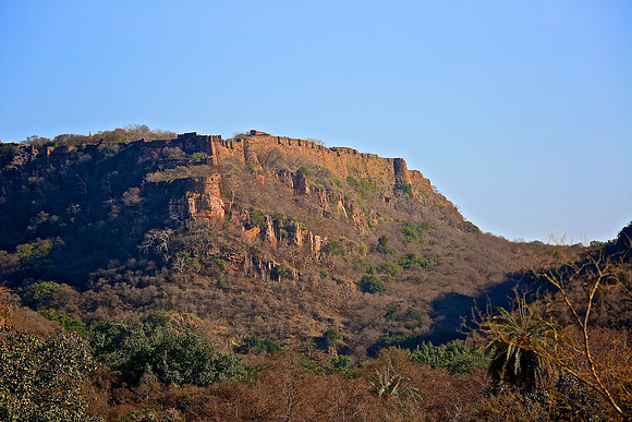 Ranthambhore Tiger Reserve