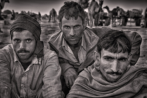 2014 February, Camel Auction, Nagaur, Rajasthan, India