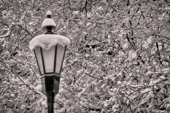 2015 February, Davidson, North Carolina