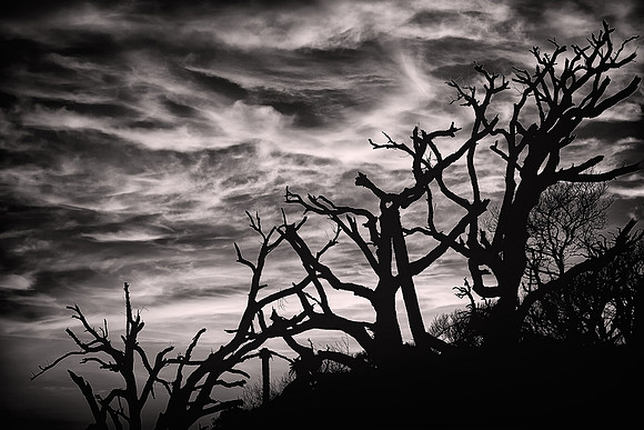 2015 March,  Edisto Island, South Carolina
