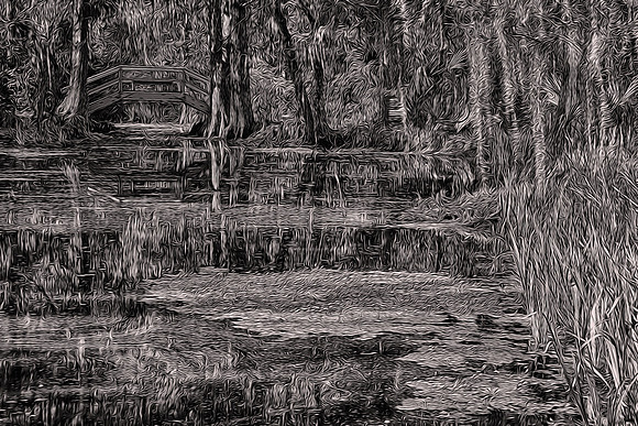 2015 March, Magnolia Plantation,  Charleston, South Carolina