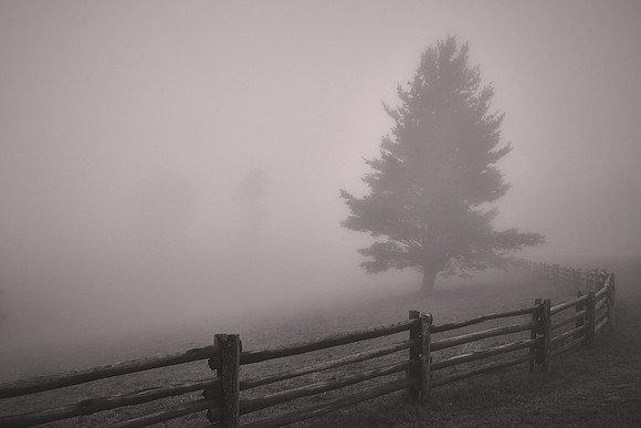 2015 July, Blue Ridge Parkway, North Carolina