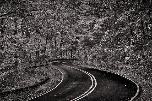 2015 October, Highway 107, South Carolina