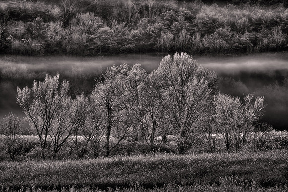 2015 December, Cades Cove, Great Smokey  Mountain National Park, Tennessee