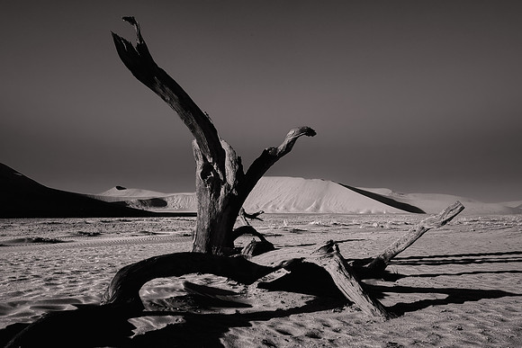 2017 November, Sossusvlei Dunes, Namib Desert, Namibia
