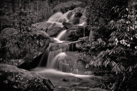 2018 February, South Mountain State Park, North Carolina