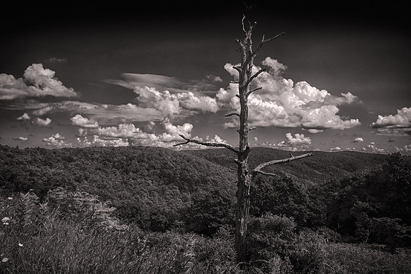 2018 July, Shenandoah National Park, Virginia