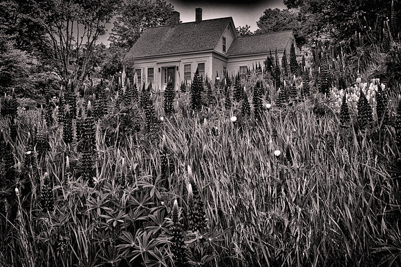 2018 June, Stonington, Maine