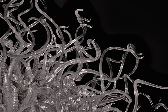 2018 September, Dale Chihuly, Biltmore Estate at night, Asheville, North Carolina