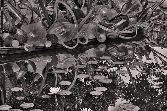 2018 September, Dale Chihuly, Biltmore Estate at night, Asheville, North Carolina