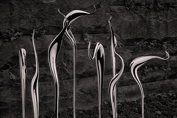 2018 September, Dale Chihuly, Biltmore Estate at night, Asheville, North Carolina