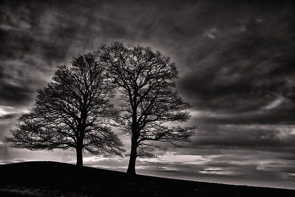 2019 March, sunrise, Blue Ridge Parkway, North Carolina