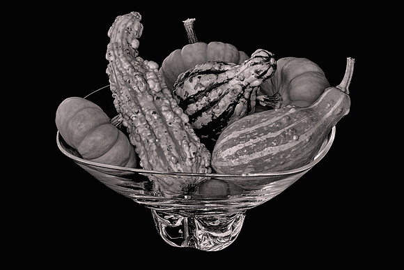 2019 September, multiple gourds and pumpkins, Davidson, North Carolina