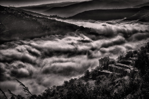 2024 February, Douro River Valley, Portugal