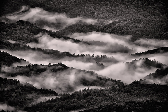 2024 May, Blue Ridge Parkway, Blowing Rock, North Carolina