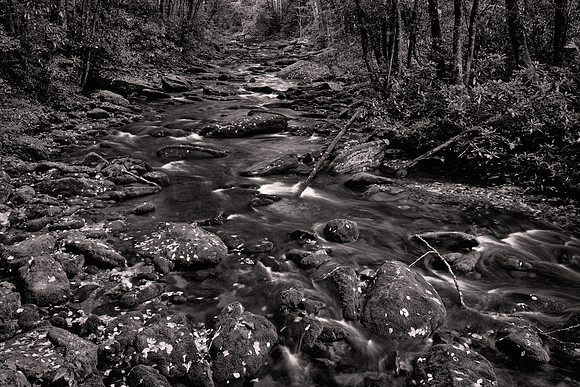 2024 September, Straight Fork - Raven Fork,  Great Smoky Mountain National Park, North Carolina