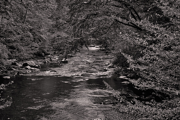 2024 September, Oconaluftee River, Great Smoky Mountain National Park, North Carolina