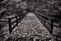 2022-2024 B&W