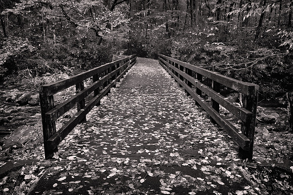 2024 September, bridge over Oconaluftee River, Great Smoky Mountain National Park, North Carolina