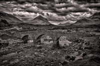 2025-2026 B&W
