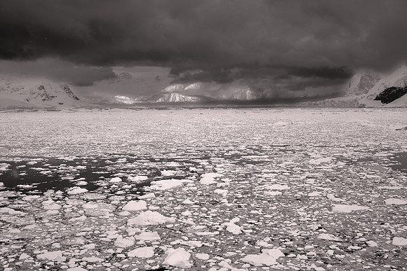 2025 October, pack ice at sunrise, Deception Island, South Shetland Islands, Antarctica