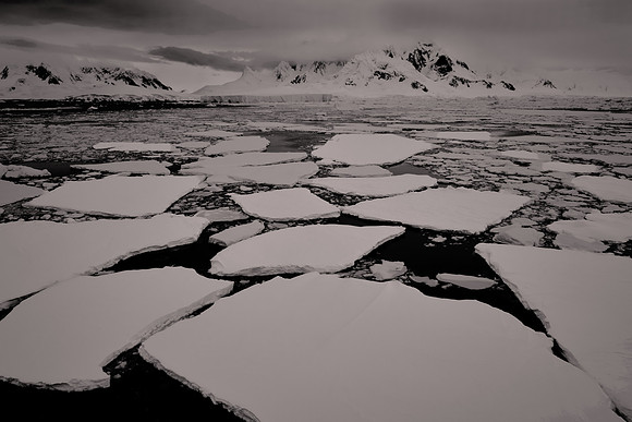 2025 October, pack ice, Antarctica