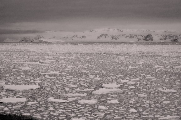 2025 October, pack ice, Antarctica