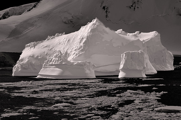 2025 October, The Gullet, Hansen Island, Laubeuf Fjord, Antarctica