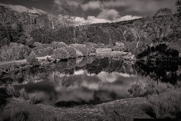 2026 January, on the road from Hobart to Cradle Mountain National Park, Tasmania