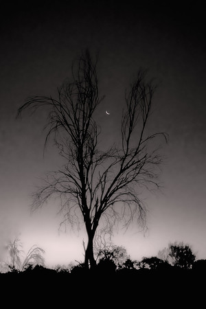 2026 January, moonrise at sunset, Outback, Australia
