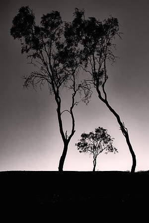2026 January, sunrise, Outback, Australia