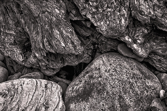 2026 February, wood and rock, Arthur's Pass National Park, Australia