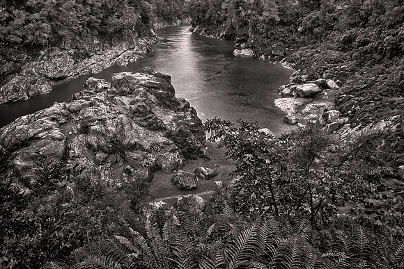 2026 February, Hokitika Gorge Scenic Reserve, Southern Alps on west coast, New Zealand